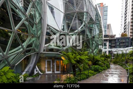 Immeuble de bureaux moderne avec un jardin d'Amazon, Amazon, sphères Les sphères, Seattle, Washington, USA, Amérique du Nord Banque D'Images