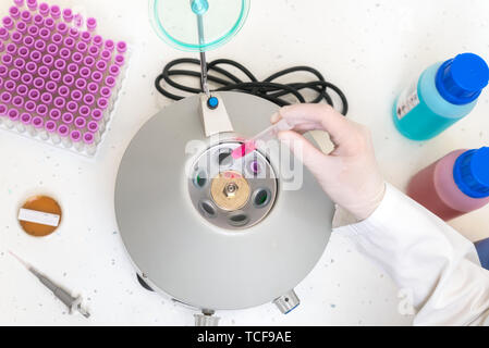 Un chercheur utilise l'équipement de laboratoire, la mise en tube échantillon centrifugeuses pour faire le test de laboratoire . Banque D'Images