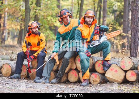 Groupe de forestiers à la rupture des travaux forestiers dans la forêt se trouve sur le tronc des arbres abattus Banque D'Images