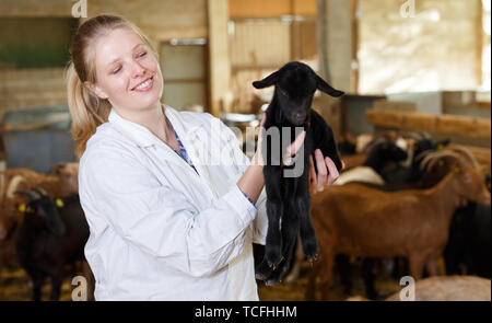 Young female farmer en blouse blanche s'occuper de petite goatlings sur les chèvres farm Banque D'Images