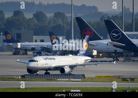 Munich, Allemagne. 07Th Juin, 2019. D-AIBG - Airbus A319-112 - Lufthansa sur la piste. La circulation de l'air, fliegen.Luftfahrt. L'aéroport Franz Josef Strauss de Munich.Munich.Â | Conditions de crédit dans le monde entier : dpa/Alamy Live News Banque D'Images