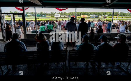 Elmont, NY, USA. 8 juin, 2019. 8 juin 2019 : festival Scènes de Belmont Stakes samedi à Belmont Park à Elmont, New York. Scott Serio/Eclipse Sportswire/CSM/Alamy Live News Banque D'Images