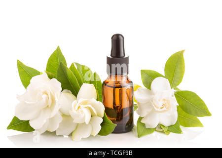 Gardenia huile essentielle sur le flacon en verre avec compte-gouttes isolé sur fond blanc Banque D'Images