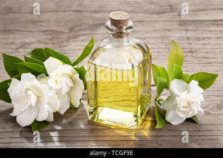 Gardenia huile essentielle sur le flacon en verre avec compte-gouttes sur table en bois Banque D'Images