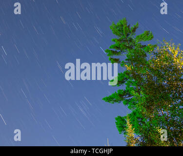 Star Trails sur une belle nuit d'été claire avec des pins - longue exposition de faim Jack Lake sur la piste de Gunflint dans le nord du Minnesota Banque D'Images