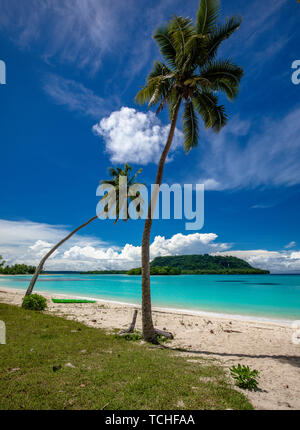 Port incroyable plage de sable d'Orly avec palmiers, l'île d'Espiritu Santo, Vanuatu. Banque D'Images