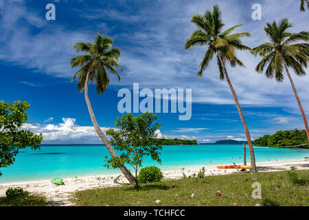 Port incroyable plage de sable d'Orly avec palmiers, l'île d'Espiritu Santo, Vanuatu. Banque D'Images