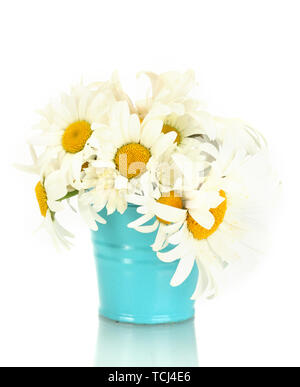 Magnifique bouquet de fleurs Daisy en bleu metal godet, sur table en bois sur fond bleu Banque D'Images