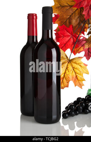 Deux bouteilles de vin rouge sans étiquettes, les raisins et les feuilles d'automne isolated on white Banque D'Images