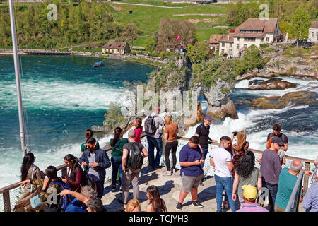 Schaffhausen, Vorarlberg, Suisse - 20 Avril 2019 : Ancien moulin à eau (Mühleradhaus Muehleradhaus) par Rheinfall (chutes du Rhin) sur le Rhin (Rhin Banque D'Images