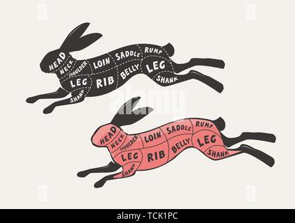 Coupe de viande, lapin ou lièvre. Poster butcher et schéma de régime, vector illustration Illustration de Vecteur