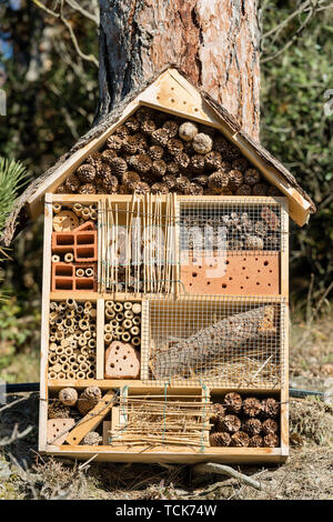 Maison des insectes pour la protection de la biodiversité. Petit abri ou d'un nid fabriqué à partir de matériaux naturels et artificiels qui convenait à leur imbrication. Trentin Banque D'Images