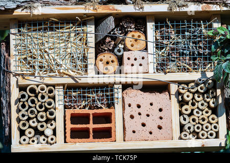 Maison des insectes pour la protection de la biodiversité. Petit abri ou d'un nid fabriqué à partir de matériaux naturels et artificiels qui convenait à leur imbrication. Trentin Banque D'Images