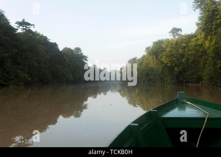 L'atmosphère du matin dans la jungle sur la rivière Kinabatangan, Sabah, Bornéo, Malaisie Banque D'Images