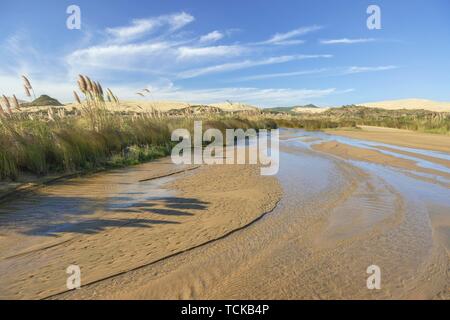 L'accès par un cours d'eau à la plage de 90 Mile Beach entre dunes de sable, loin du Nord District, Northland, North Island, New Zealand Banque D'Images