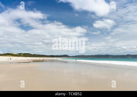 Longue plage de sable, plage Rarawa Far North District, Northland, North Island, New Zealand Banque D'Images