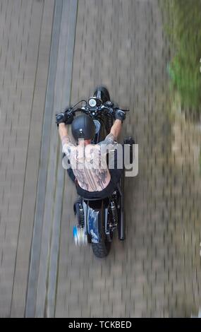 Motocycliste, dos tatoué, bird's eye view, vue arrière, Harley Davidson Sportster 48, Allemagne Banque D'Images