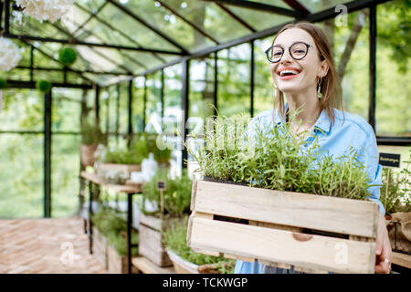 Portrait d'une femme heureuse avec boîte en bois plein de plantes dans la serre Banque D'Images