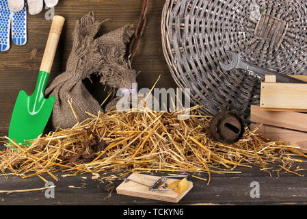 Mousetrap avec un morceau de fromage dans la région de grange sur fond de bois Banque D'Images