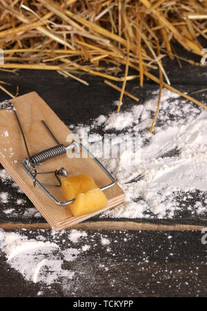 Mousetrap avec un morceau de fromage dans la région de grange sur fond de bois Banque D'Images