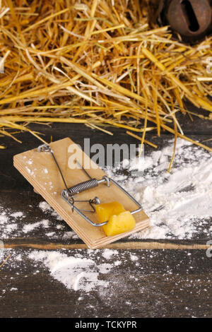 Mousetrap avec un morceau de fromage dans la région de grange sur fond de bois Banque D'Images