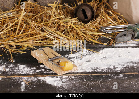 Mousetrap avec un morceau de fromage dans la région de grange sur fond de bois Banque D'Images