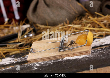 Mousetrap avec un morceau de fromage dans la région de grange close-up sur fond de bois Banque D'Images