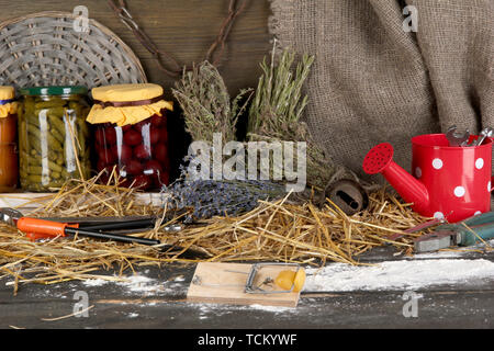 Mousetrap avec un morceau de fromage dans la région de grange sur fond de bois Banque D'Images