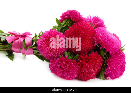 Aster rose fleurs, isolated on white Banque D'Images