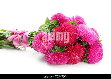 Aster rose fleurs, isolated on white Banque D'Images