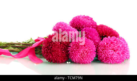 Aster rose fleurs, isolated on white Banque D'Images