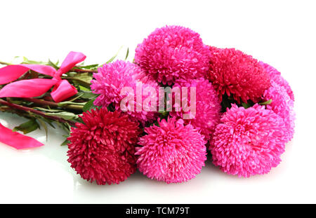 Aster rose fleurs, isolated on white Banque D'Images