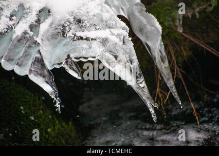 Une petite cascade sur un flux dans la zone panoramique de Tianshan Dazhuhai Holiday dans le Xinjiang, en hiver est couverte de glaçons, comme un ours. Banque D'Images