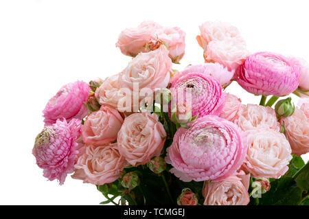 Fleurs roses frais Banque D'Images