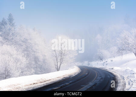 En route tourner à la forêt en hiver. étonnant temps brumeux. arbres en bordure de givre. couverts de neige froide et haute. matin lumineux. mensongers Banque D'Images