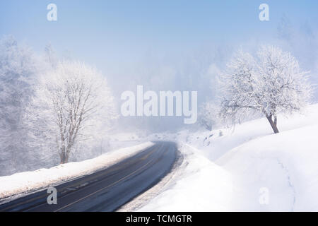 Route à travers des forêts en hiver. étonnant temps brumeux. arbres en bordure de givre. couverts de neige froide et haute. lumineux matin. la nature trompeuse Banque D'Images