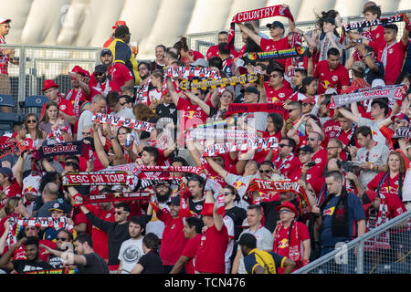 Chester, Pennsylvanie, USA. 8 juin, 2019. Red Bulls fans dans les peuplements au stade de l'énergie Talen Chester PA Credit : Ricky Fitchett/ZUMA/Alamy Fil Live News Banque D'Images