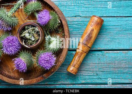 Fleurs plantes médicales.Chardon-marie Silybum marianum ou.herbes curatives sur table en bois Banque D'Images