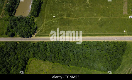 Paysage vert avec la forêt et meadowv - descendante vue aérienne Banque D'Images