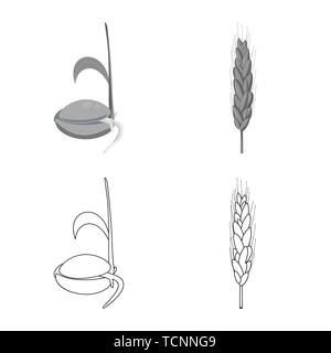 Printemps,graines,grandir,spike,root,farine,dur,son,germination la germination des céréales,,processus,alimentaire,de,plantation,or,agriculture,vert,l'évolution de l'agriculture,seigle,plantes,blé,maïs,grain,récolte,ferme,,champ,set,icône,,illustration,collection,isolé,design,graphisme,élément,signe, vecteurs vecteur , Illustration de Vecteur