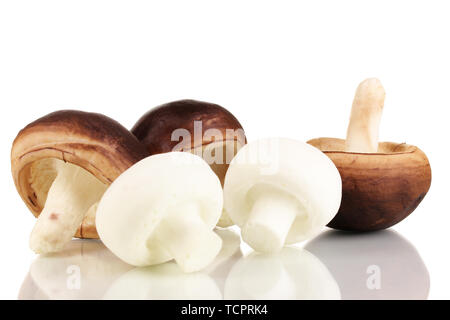 Les champignons frais isolated on white Banque D'Images