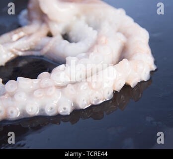 Un close-up de tentacules de pieuvre fraîche Banque D'Images