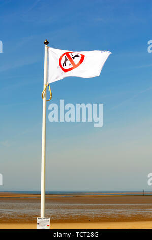 Chiens non admis sur beach flag flying over 5000 Banque D'Images