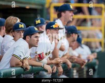 Los Angeles, CA, USA. Le 08 juin, 2019. Les joueurs du Michigan ont vue sur le terrain au cours d'un super jeu NCAA régional entre les Michigan Wolverines et les Bruins de UCLA à Jackie Robinson Stadium à Los Angeles, Californie. Michigan défait 5-4 de l'UCLA. (Crédit obligatoire : Juan Lainez/MarinMedia.org/Cal Sport Media) Credit : csm/Alamy Live News Banque D'Images