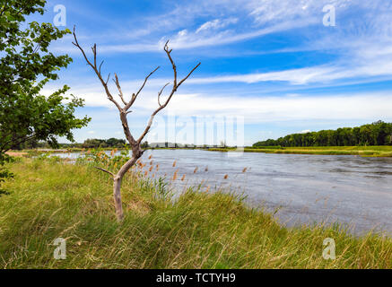 Reitwein, Allemagne. 09Th Juin, 2019. La frontière germano-polonaise dans l'Oder dans l'Oderbruch district Territoire. Crédit : Patrick Pleul/dpa-Zentralbild/ZB/dpa/Alamy Live News Banque D'Images