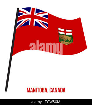 De brandir le drapeau du Manitoba Vector Illustration sur fond blanc. Drapeau provinces du Canada. Bonne taille, de proportions et de couleurs. Banque D'Images