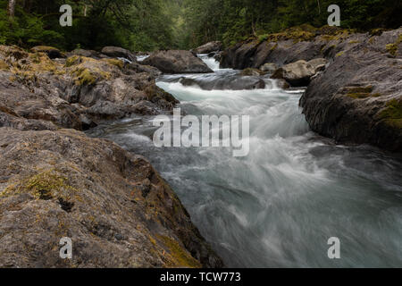 Une rivière qui coule d'exécuter plus de cailloux et de rochers dans le Parc National Olympique, l'État de Washington, USA, une longue exposition à ajouter à l'water​ commuters. Banque D'Images