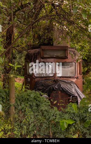 Un camion rouillé abandonné au milieu de la brousse en Nouvelle-Zélande, le gouvernement Bush le camion également mangeuses, personne à l'image Banque D'Images