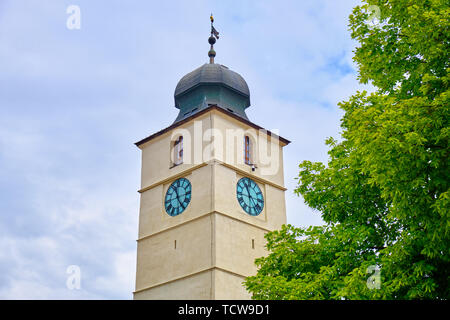 La tour du Conseil (Turnul Sfatului) à Sibiu petit carré (Piata Mica) - partie supérieure avec un arbre vert, par un beau jour. Monument touristique populaire dans il Banque D'Images