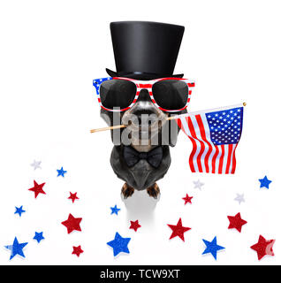 Chien teckel saucisse qui agitait un drapeau d'usa et de la victoire ou de la paix le jour de l'indépendance des doigts 4 juillet avec des lunettes Banque D'Images
